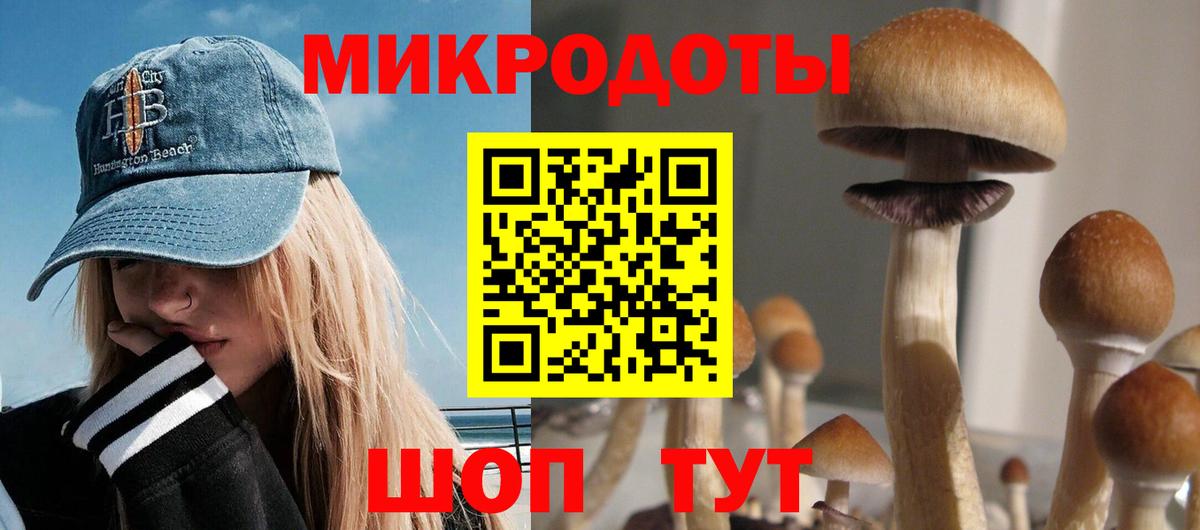 Псилоцибиновые грибы мухоморы Краснотурьинск